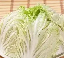 Napa cabbage