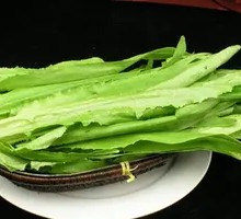Oilseed lettuce