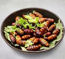 Crispy Silkworm Pupa