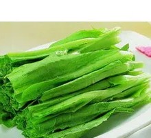 Oilseed lettuce