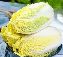 Napa cabbage