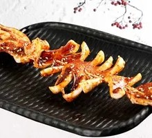 Squid
