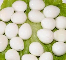 Quail Egg