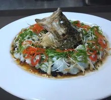 Yearly Abundance Tiger Grouper