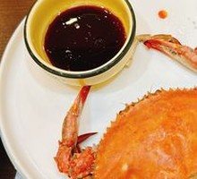Spider Crab