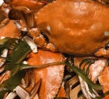 Spider Crab