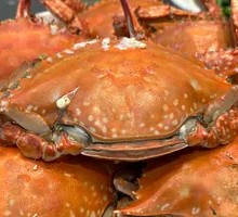 Spicy Large Crab