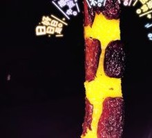 Red Date Rice Cake