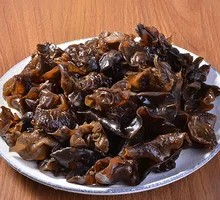 Northeast Black Fungus