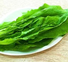 Oilseed lettuce