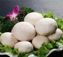 Fresh Button Mushroom