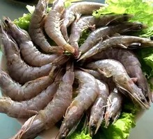 很新鲜的大虾