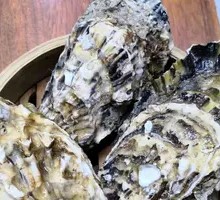 Imported Oyster