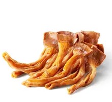 Duck Trachea