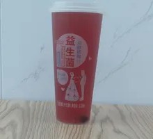 Probiotic Fermented Wild Plum Juice