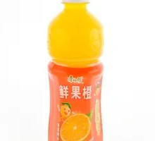 Fresh Orange Fruit