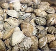 Super Clam Noodles