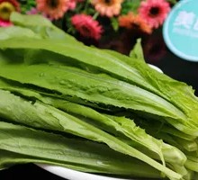 Oilseed lettuce