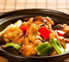 Stewed Chicken with Brown Sauce