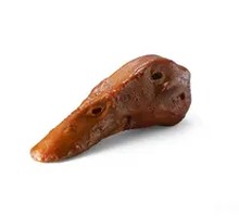 Black Duck Head