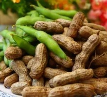 Peanut and Edamame