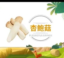 Almond Mushroom