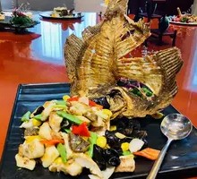 Dragon Soaring Across the Seas - Mandarin Fish
