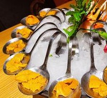 Sea Urchin