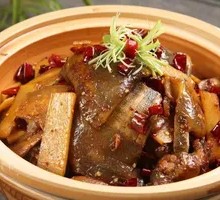 Zu'an Ginger Spicy Softshell Turtle