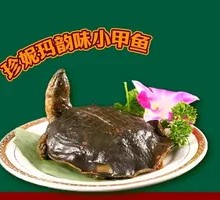 Jenny's Flavorful Soft-Shelled Turtle