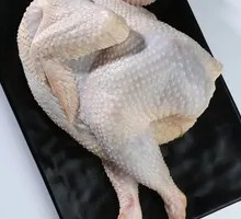 Rooster