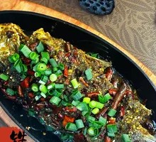 Signature Iron Plate Crucian Carp