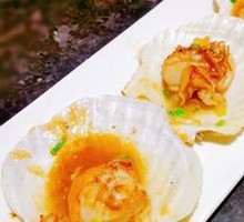 Scallop