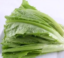 Oilseed lettuce