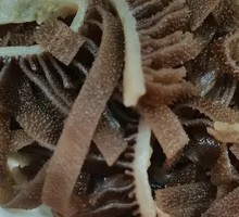Tripe