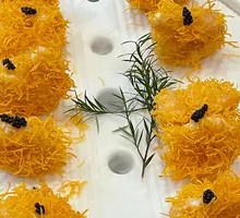 Mysterious Mustard Shrimp Balls