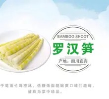 Buddha Bamboo Shoots
