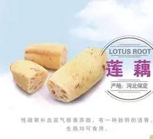 Lotus Root