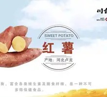Sweet Potato