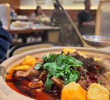 Premium Beef Brisket and Offal Stew