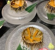 Sea Urchin