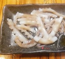 Live Octopus