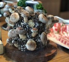 Big Head Mushroom