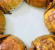 Freshwater Crab