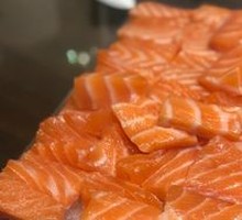 Salmon