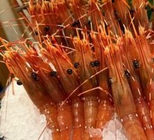 Peony Shrimp