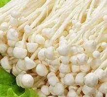 Enoki Mushroom