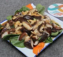 Bamboo Shoots with Chinese Cabbage
