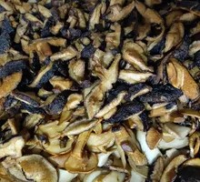烧汁全菌