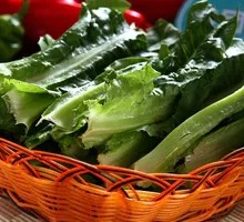 Oilseed lettuce